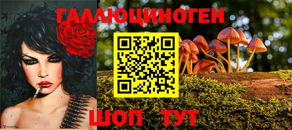 Галлюциногенные грибы Psilocybine cubensis  Галлюциногенные грибы ЛСД  Кызыл  Вход с VPN 